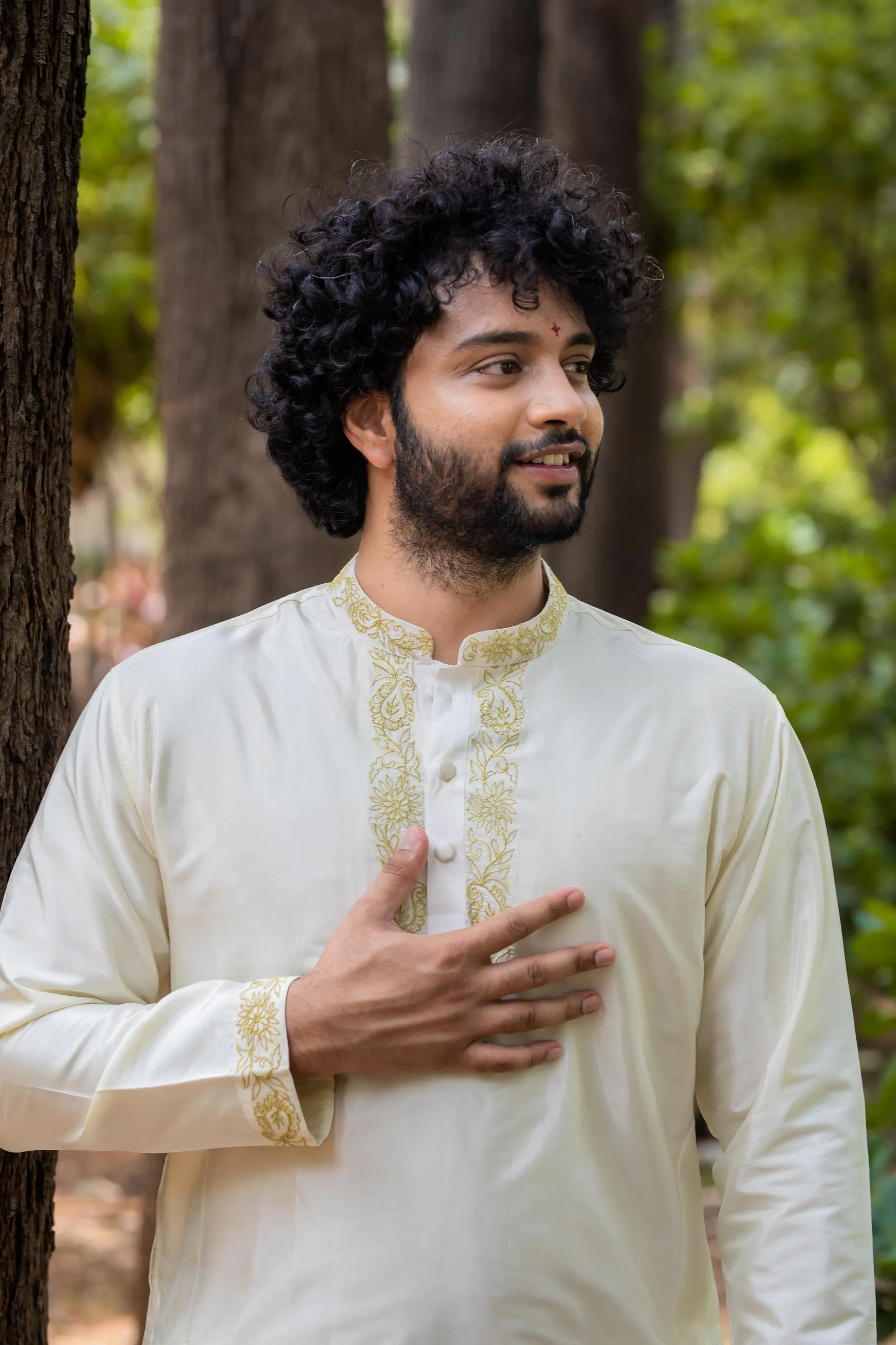 Men's Machine Embroidered Pattu Set - Hilo Design